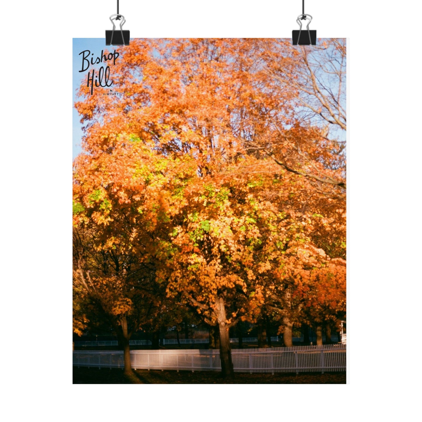 Autumn Maple Matte Poster — Bishop Hill Fall Landscape Vertical Print